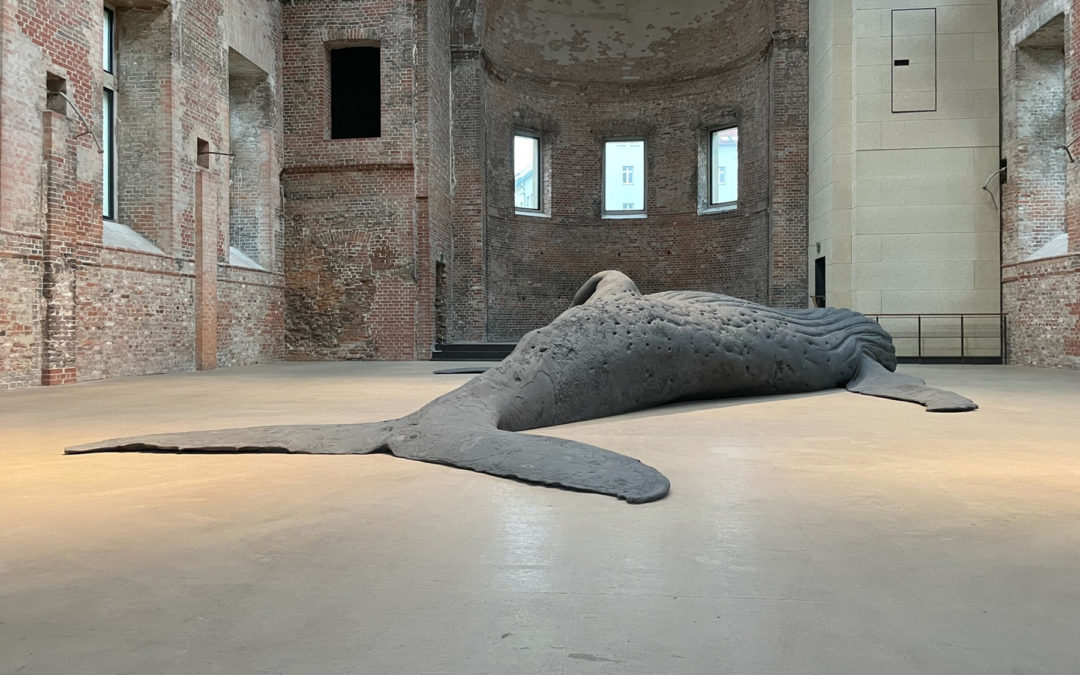 Gil Shachar –  Cast Whale Project