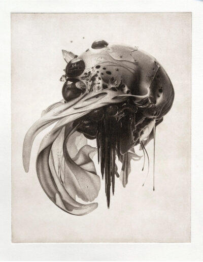 Michael Kutschbach, »echønoeë no. 1«, 2025, 21,5 cm × 16,7 cm on 35,5 x 28,5 cm on Somerset 300g sm paper, photo-gravure; Ed. of 70