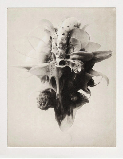 Michael Kutschbach, »echønoeë no. 1«, 2025, 21,5 cm × 16,7 cm on 35,5 x 28,5 cm on Somerset 300g sm paper, photo-gravure; Ed. of 7 (+2)
